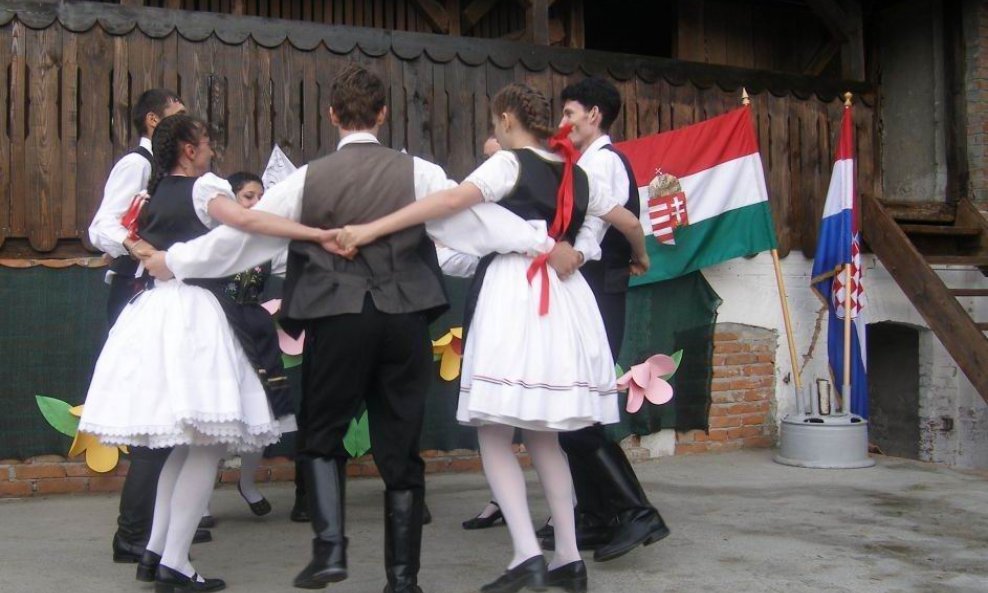 darda mađarska nacionalna manjina mađari u hrvatskoj