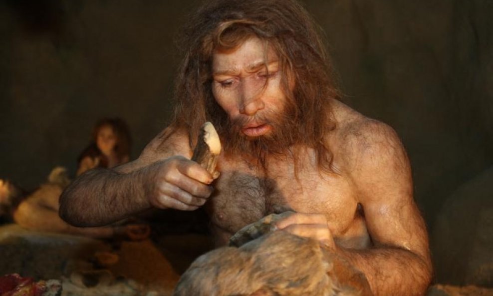 neandertalac krapina