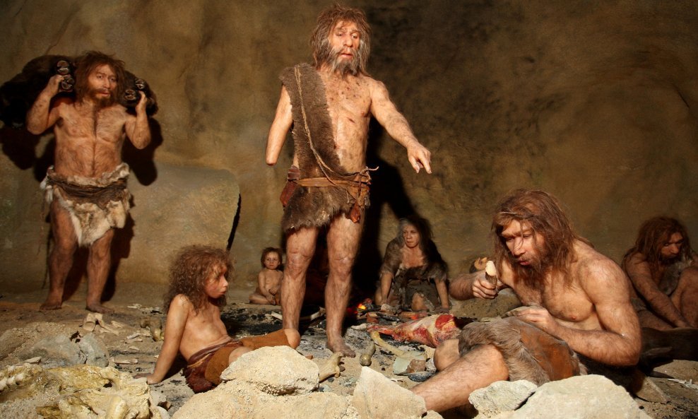 Ilustrativna galerija / Muzej krapinskog neandertalca