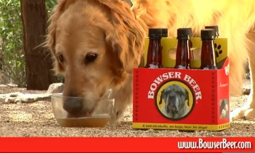 bowser pivo za pse