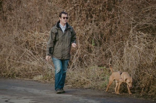 Profesor Boris Bakota u šetnji s psima iz osječkog azila - udruge Pobjede