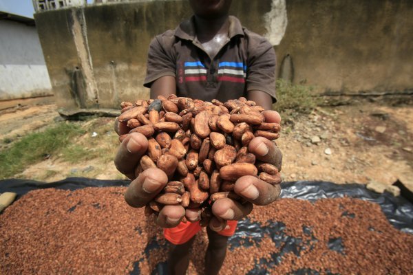 Poljoprivrednici koji uzgajaju kakao u Obali Bjelokosti od svoje proizvodnje u prosjeku uspijevaju zaraditi tek jedan dolar dnevno, a njihovi konkurenti u Gani još i upola manje od toga