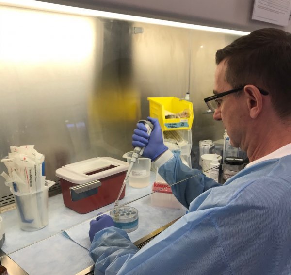 Tijekom dana Filip u laboratoriju istražuje 18 virusa i četiri bakterije