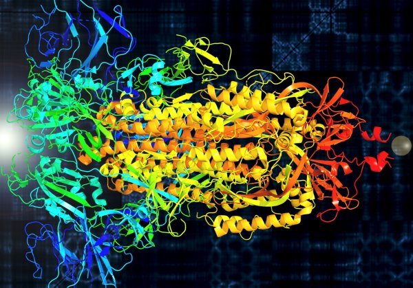 Profesor Buehler stvara nove proteine pomoću umjetne inteligencije: koronavirus SARS-Cov-2 pretvorio je u zvuk kako bi vizualizirao njegove vibracije. Primarne boje označavaju tri proteinska lanca