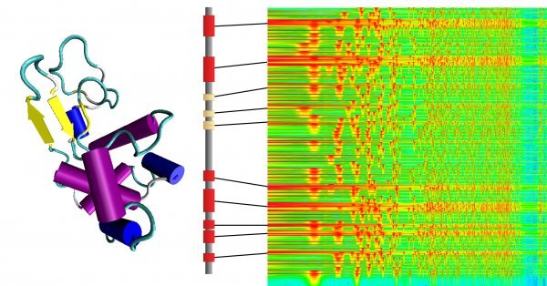 Dijagram prikazuje prevođanje strukture proteina u glazbu, kako su to zamislili istraživači MIT-a