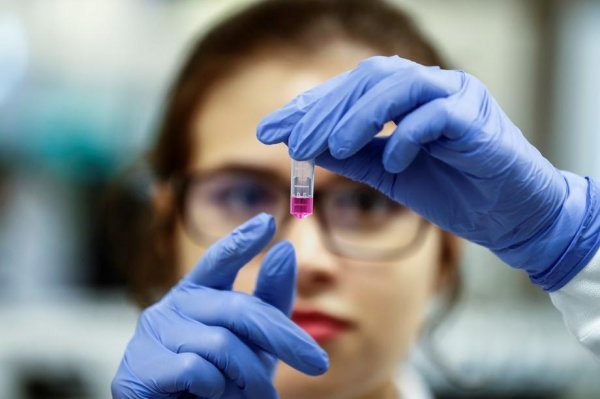 Potencijali cjepiva protiv koronavirusa istražuju se i na brazilskom sveučilištu u Sao Paolu