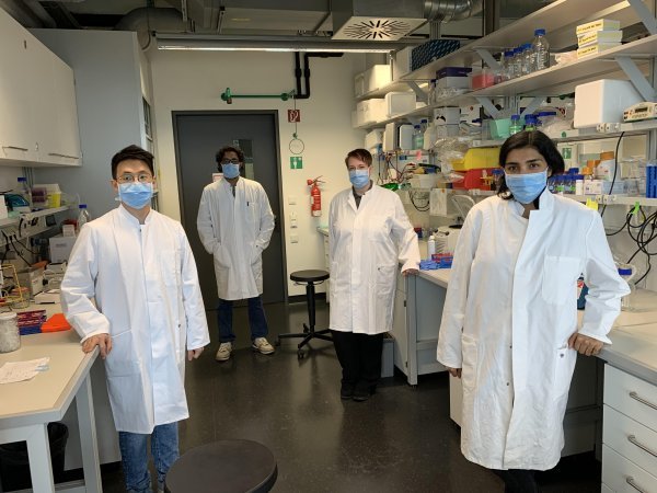 Znanstveni tim koji je možda pronašao slabu točku novog koronavirusa