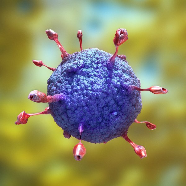 Računalni prikaz generičke čestice virusa