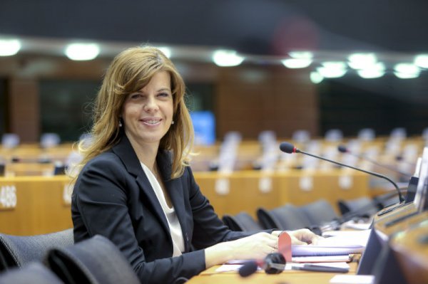 Biljana Borzan, zastupnica u Europskom parlamentu 