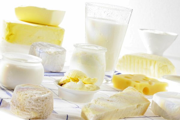 Punomasni mliječni proizvodi važni su za pravilan razvoj fetusa