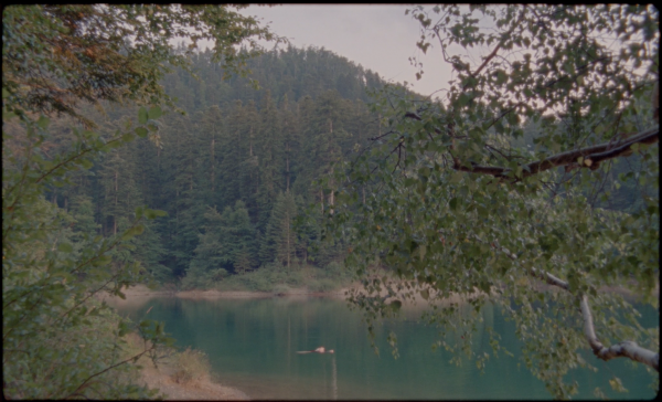 Prizor iz filma 'U šumi'