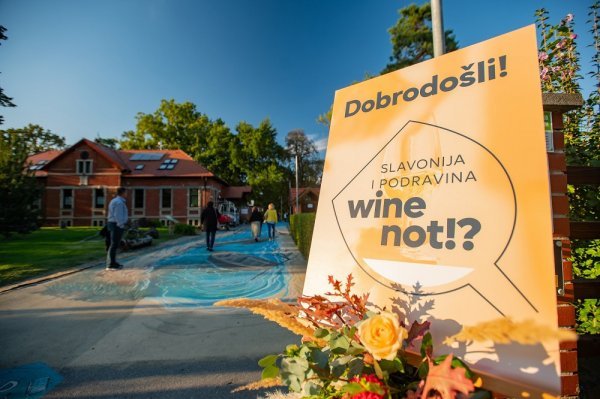 Slavonija i Podravina, wine not