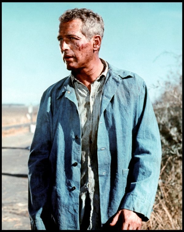 Paul Newman u filmu 'Cool Hand Luke'