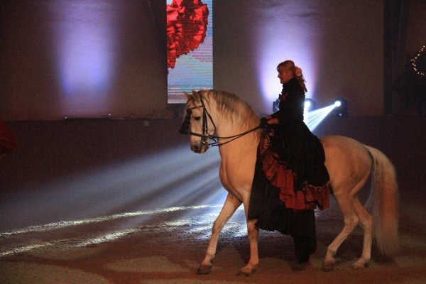 Lipicanci su bili najcjenjeniji kraljevski konji u vremenu baroka  