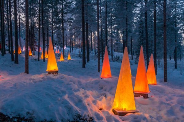 Šumsko svjetlo koje vodi do Parka djeda Mraza u Norveškoj (Foto: Profimedia) 