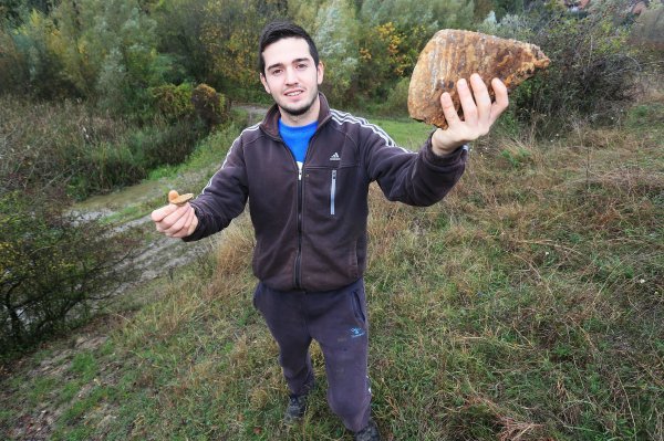 Goran Popović iz Mohova na svojoj je zemlji 2016. pronašao zub mamuta