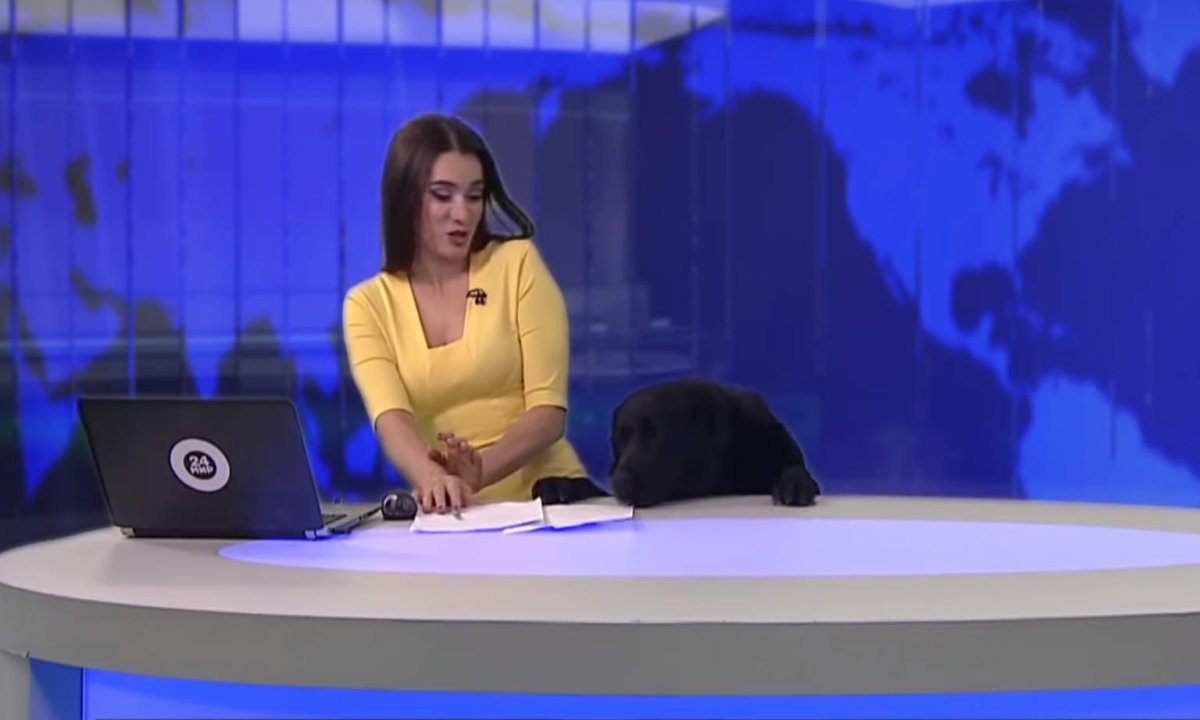 Zaboga, što je to toliko preplašilo voditeljicu? - tportal
