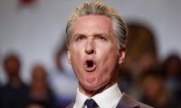 Gavin Newsom
