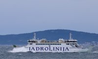 JAVLJA JADROLINIJA
