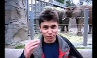 JAWED KARIM