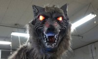 MONSTER WOLF