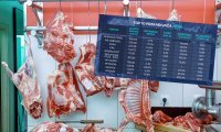 ANALIZA TPORTALA