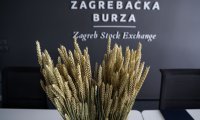 DAN NA BURZI