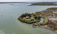 NAVALI, NARODE