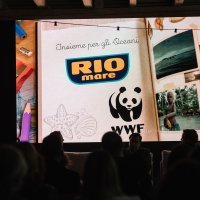 Bolton-RioMare-press-27