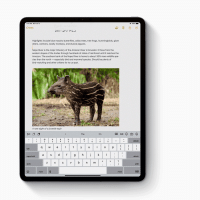 Apple iPadOS
