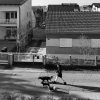 Niz Mljekarsku ulicu