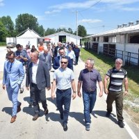 Obilazak farme junadi Šumbar