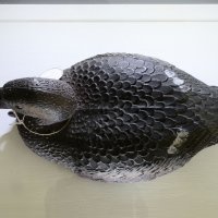 Vladimir Dodig Trokut