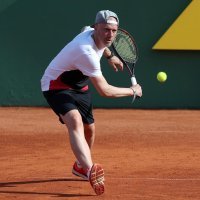 Ivan Klasnić u akciji