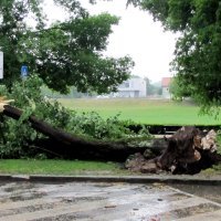 Sisak: Snažno nevrijeme praćeno jakim vjetrom i obilnom kišom zahvatilo grad i okolicu