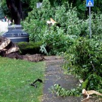 Sisak: Snažno nevrijeme praćeno jakim vjetrom i obilnom kišom zahvatilo grad i okolicu