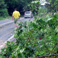 Sisak: Polomljeno drveće uz državnu cestu prema Zagrebu