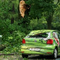 Osijek: U nevremenu uništen automobil na kojeg je pala grana