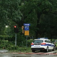 Osijek: U nevremenu uništen automobil na kojeg je pala grana