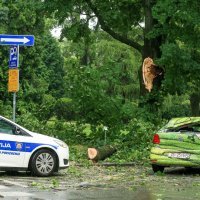 Osijek: U nevremenu uništen automobil na kojeg je pala grana