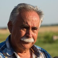 Zaprašivanje komaraca