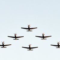 Akrobatskim programom Krila Oluje obilježila zadnji dan 59. Međunarodnog dječjeg festivala (2)