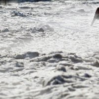 Ljetna ledena oluja poharala Meksiko