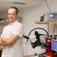 Matti Kalevi Kalliokoski