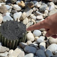 Devastacija u Botaničkom vrtu