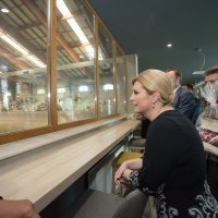 Predsjednica Republike Hrvatske Kolinda Grabar-Kitarović obišla Državnu ergelu Đakovo