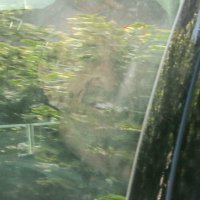 Privođenje Andrije Drežnjaka ubojice socijalne radnice iz Đakova