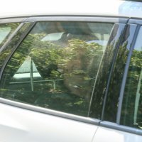 Privođenje Andrije Drežnjaka ubojice socijalne radnice iz Đakova