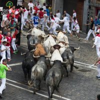 Utrka s bikovima u Pamploni