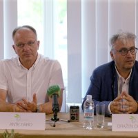 Ante Dabo, Dražen Domjanić